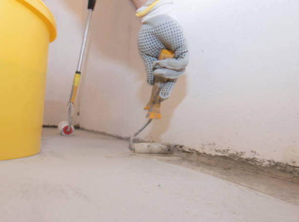 Best Pest Prevention Services  in East Northport, NY